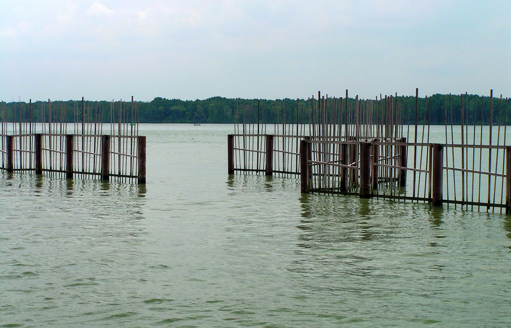 Singapore - Pulau Ubin 03