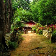 Singapore - Pulau Ubin 05