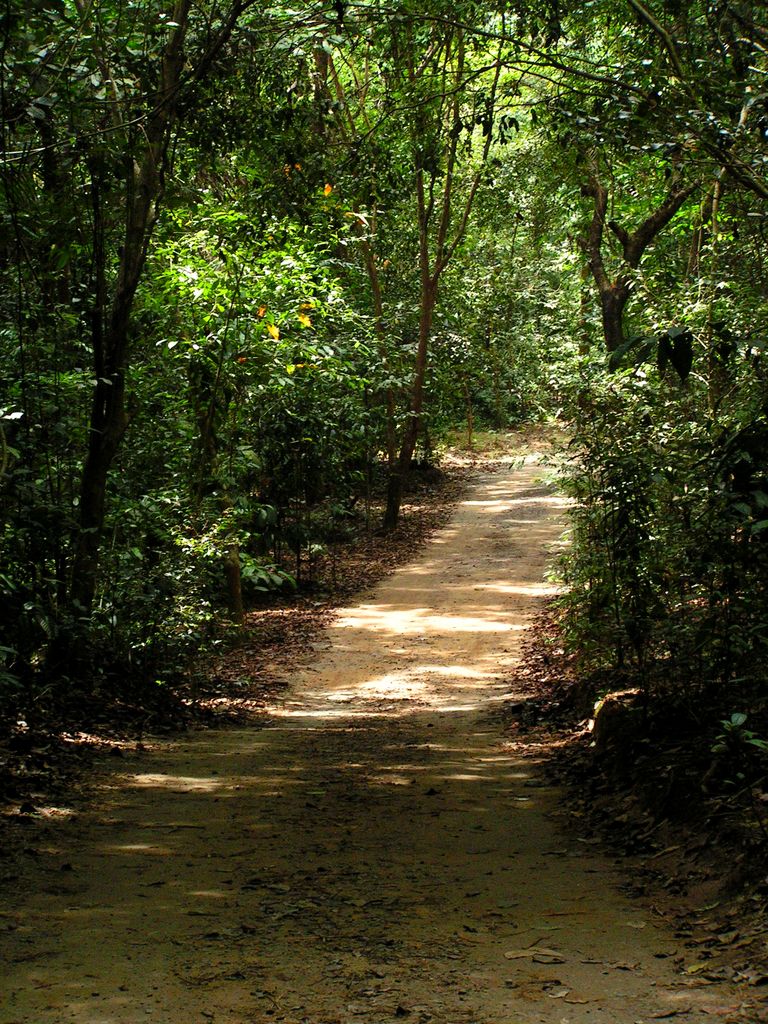 Singapore - Pulau Ubin 06