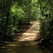 Singapore - Pulau Ubin 06