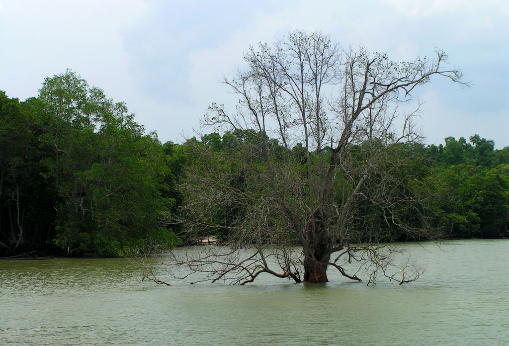 Singapore - Pulau Ubin 09