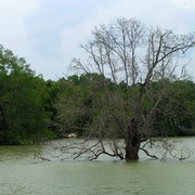 Singapore - Pulau Ubin 09