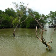 Singapore - Pulau Ubin 11