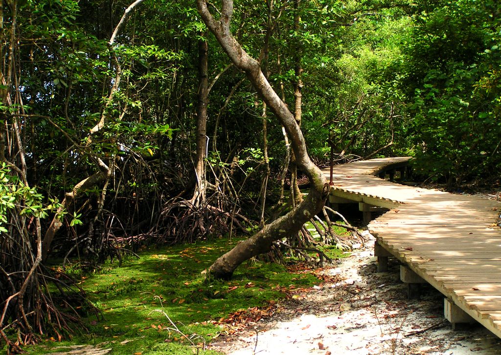 Singapore - Pulau Ubin 14