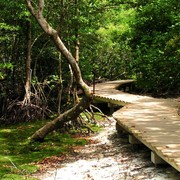 Singapore - Pulau Ubin 14