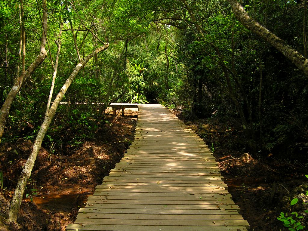 Singapore - Pulau Ubin 16