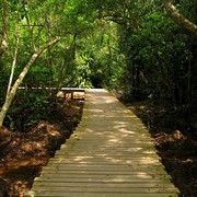 Singapore - Pulau Ubin 16