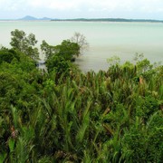 Singapore - Pulau Ubin 20