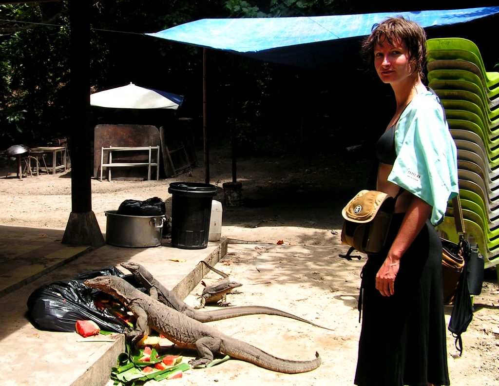 Malaysia - monitor lizards in Borneo 03