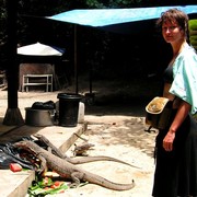 Malaysia - monitor lizards in Borneo 03