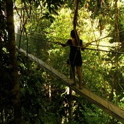 Malaysia - canopy walking in Borneo 02