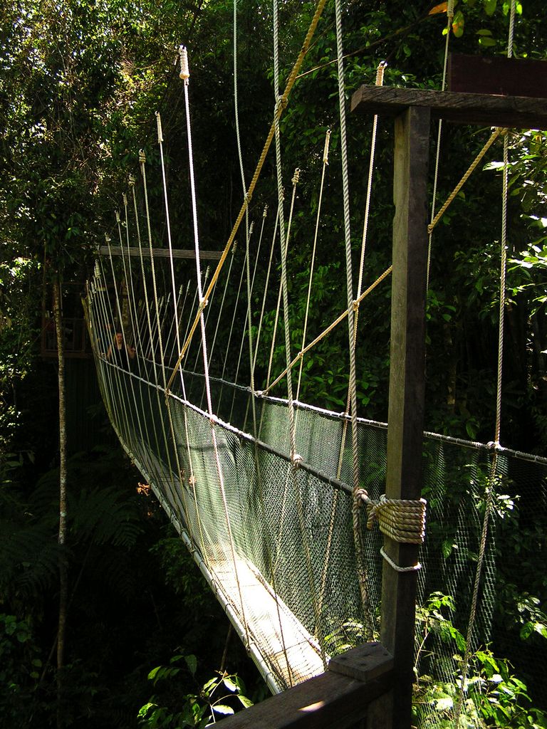 Malaysia - canopy walking in Borneo 03