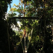 Malaysia - canopy walking in Borneo 04