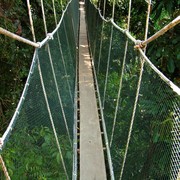 Malaysia - canopy walking in Borneo 05