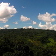 Malaysia - canopy walking in Borneo 06