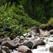Malaysia - a river in a jungle in Borneo