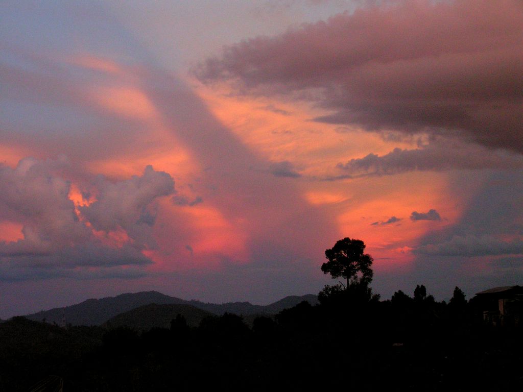 Malaysia - Borneo 02