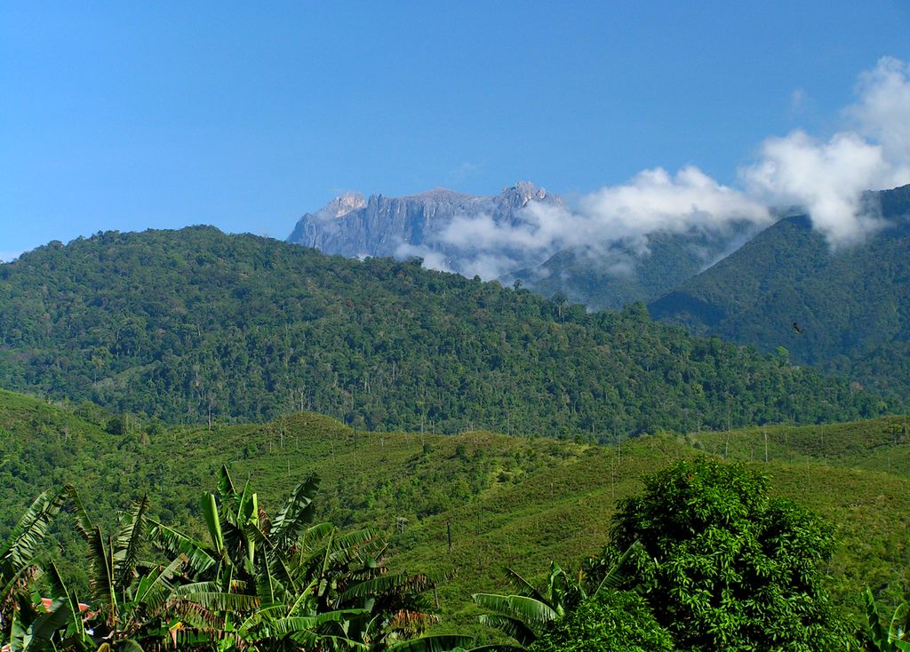 Malaysia - Borneo 03