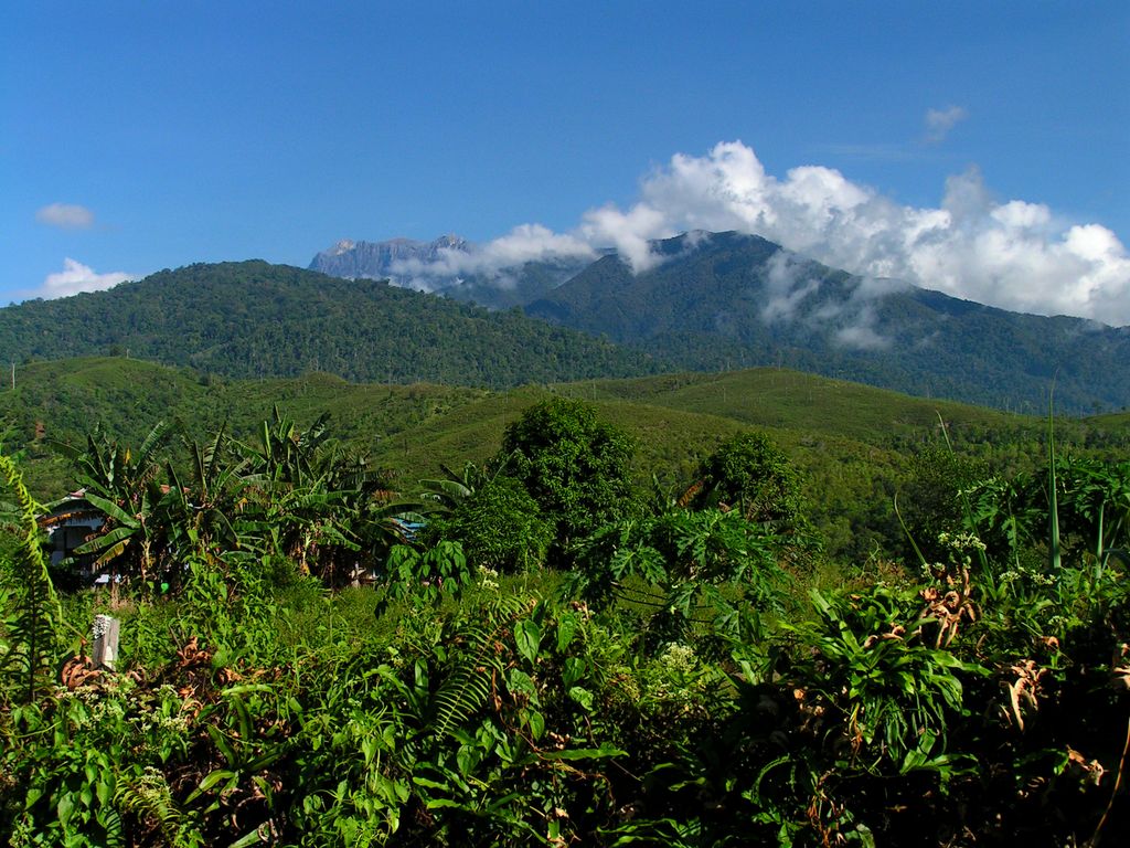 Malaysia - Borneo 04