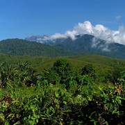 Malaysia - Borneo 04