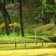 Malaysia - Borneo 05