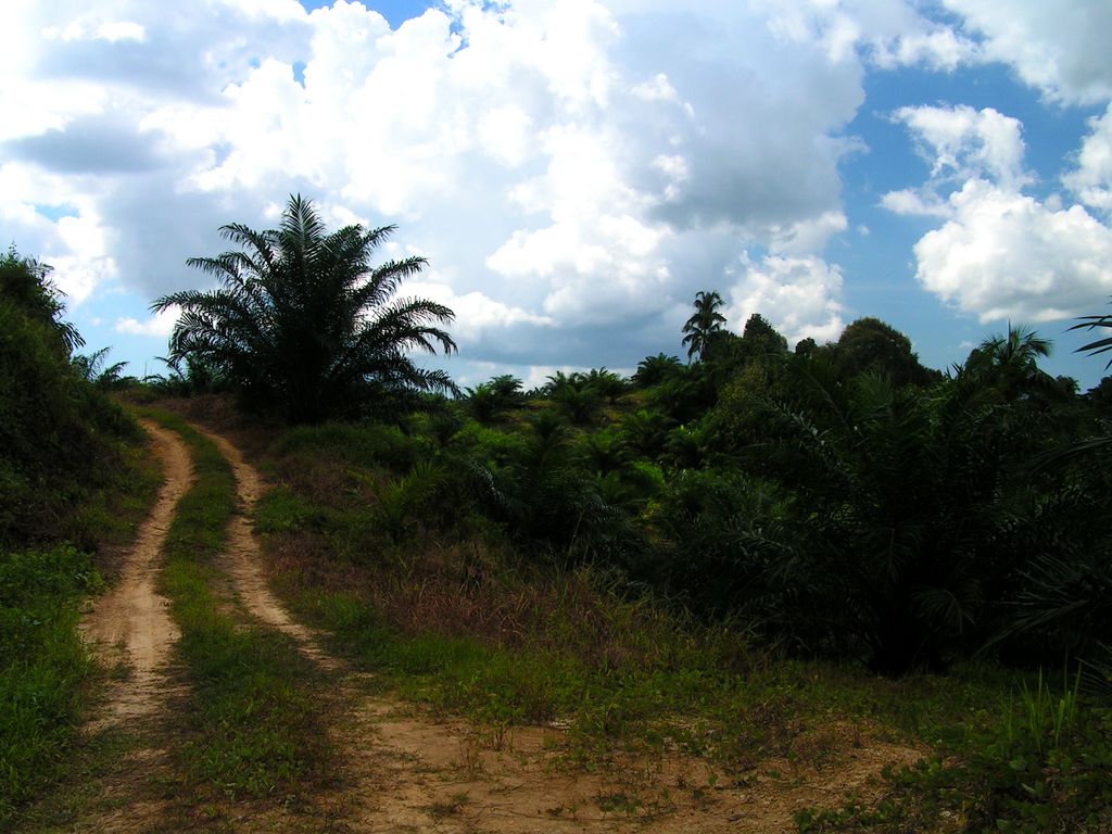 Malaysia - Borneo 08