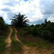 Malaysia - Borneo 08