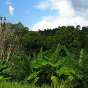 Malaysia - Borneo 09