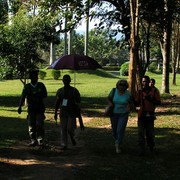 Indonesia - Java - Borobudur 31