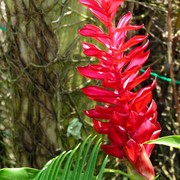 Malaysia - a lake garden in Kuala Lumpur 03