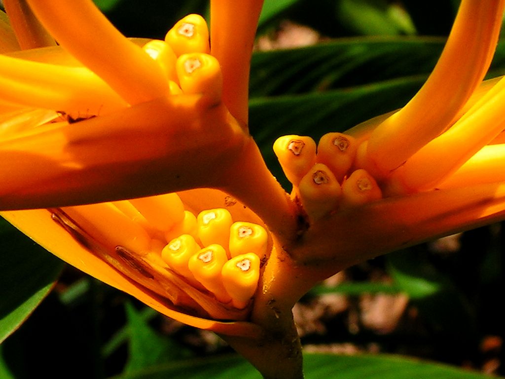 Malaysia - a lake garden in Kuala Lumpur 13