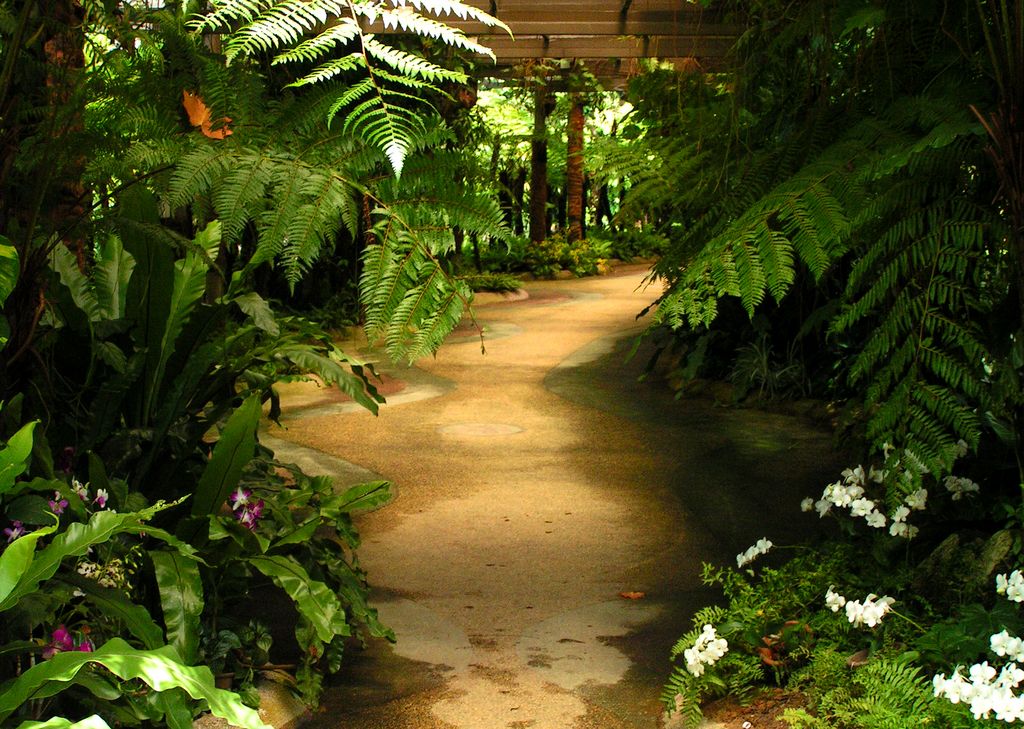 Malaysia - a lake garden in Kuala Lumpur 16