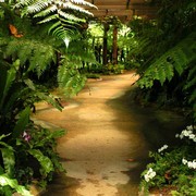 Malaysia - a lake garden in Kuala Lumpur 16