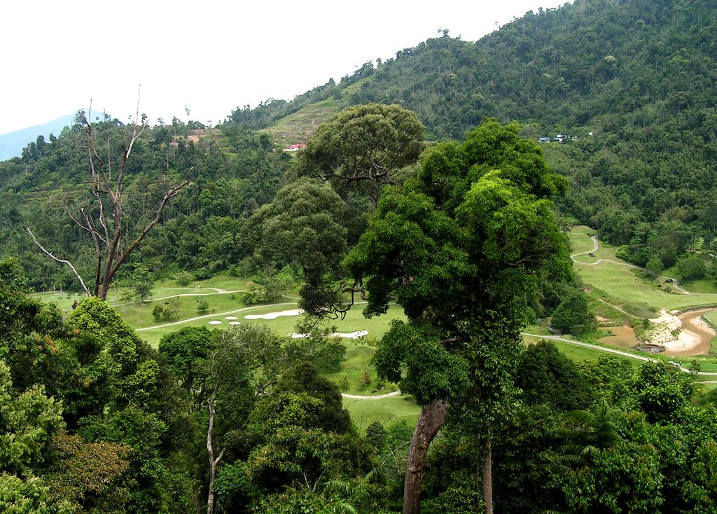 Malaysia - Colmar village 09