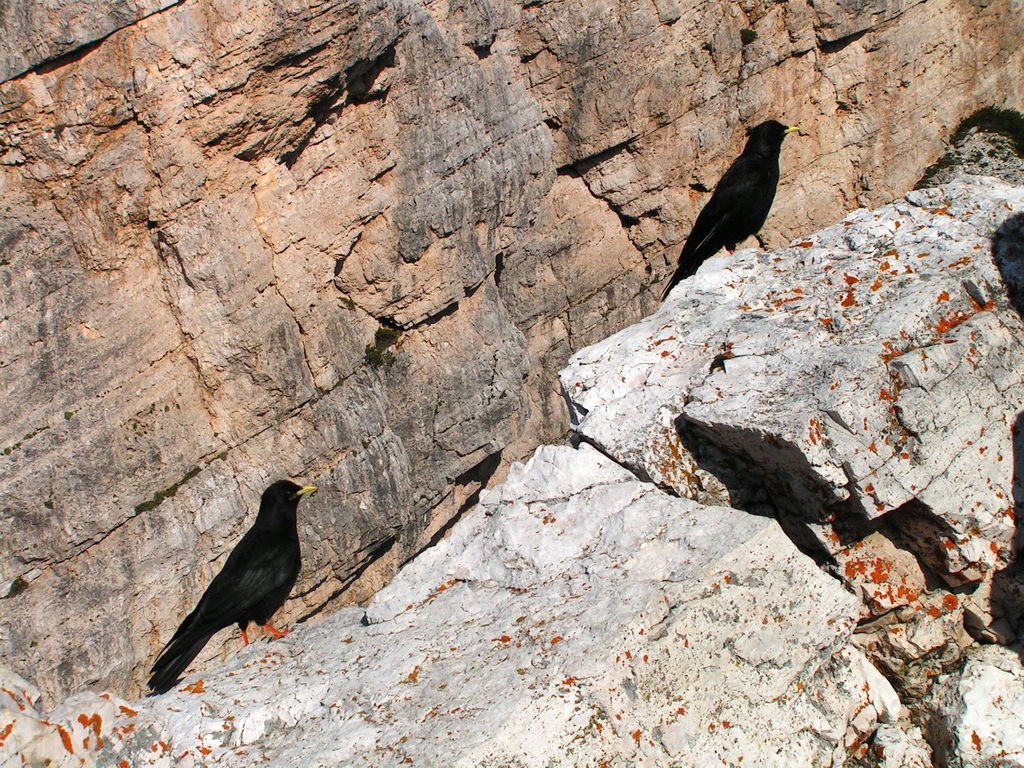 The Italian Dolomites - Via ferrata Strobel 47