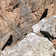 The Italian Dolomites - Via ferrata Strobel 47