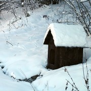 Slovakia - Bukovske vrchy 08