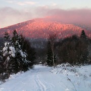 Slovakia - Bukovske vrchy 35