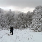 Slovakia - Bukovske vrchy 44