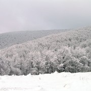 Slovakia - Bukovske vrchy 51