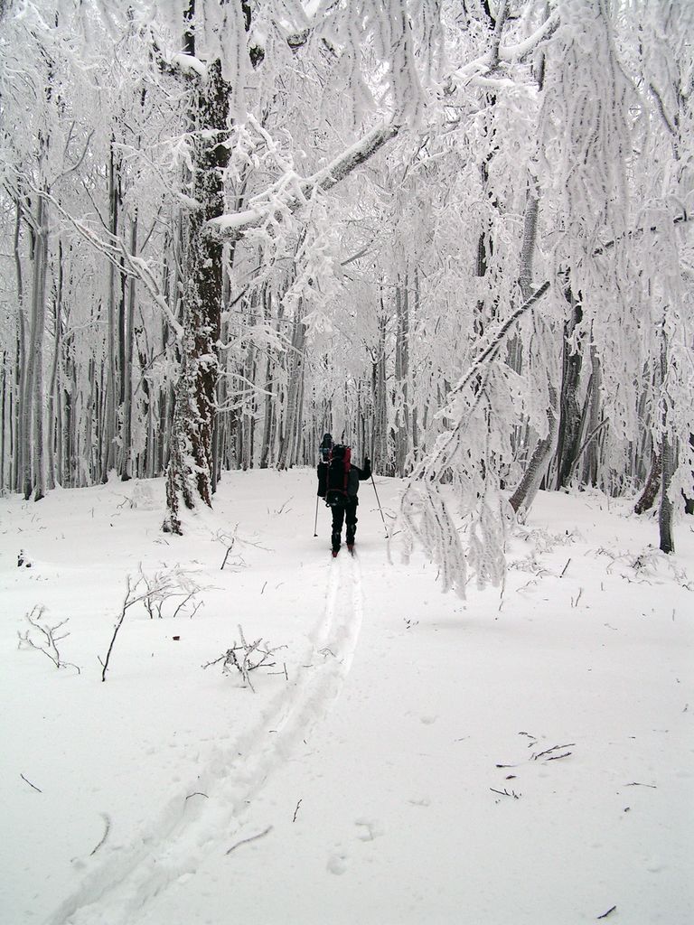 Slovakia - Bukovske vrchy 56