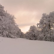 Slovakia - Bukovske vrchy 64