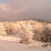 Slovakia - Bukovske vrchy 67