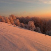 Slovakia - Bukovske vrchy 73