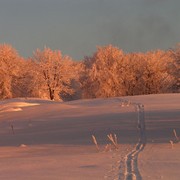 Slovakia - Bukovske vrchy 74