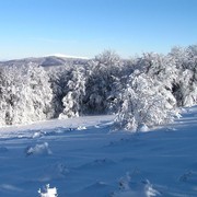 Slovakia - Bukovske vrchy 81