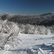 Slovakia - Bukovske vrchy 85