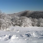 Slovakia - Bukovske vrchy 86