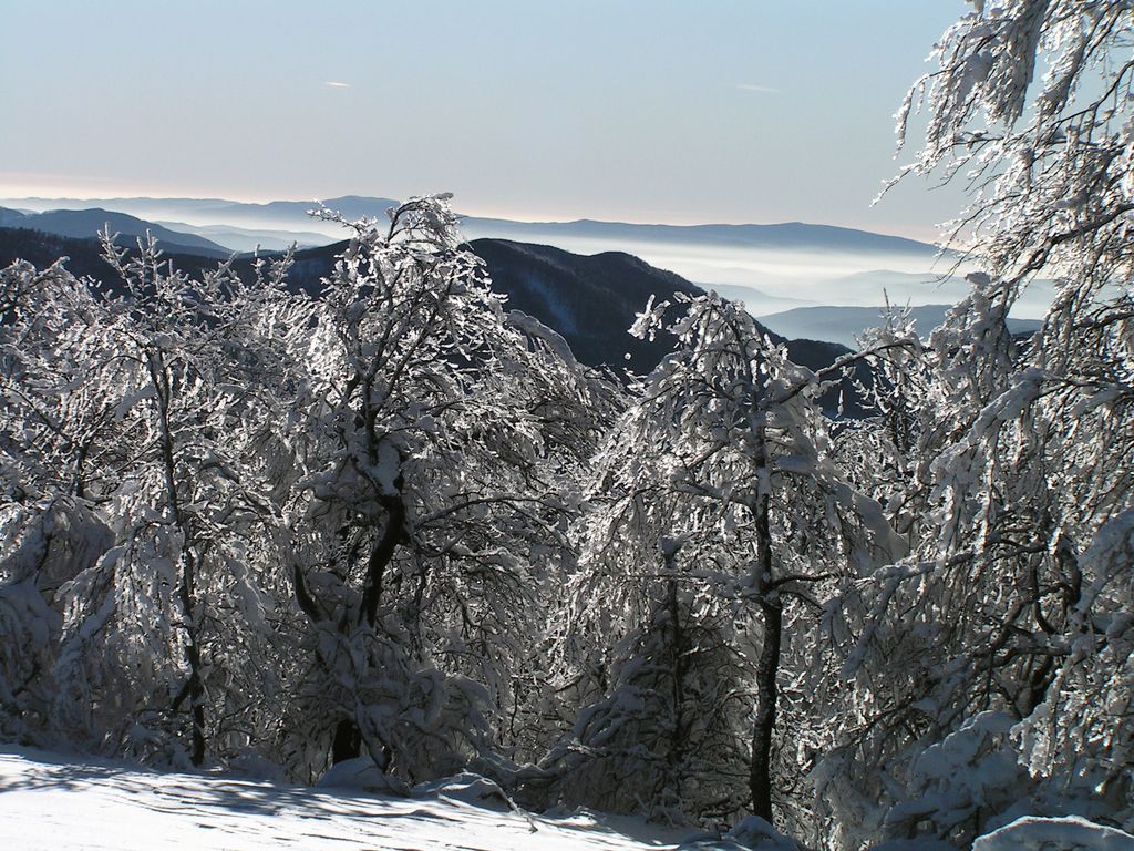 Slovakia - Bukovske vrchy 88