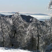 Slovakia - Bukovske vrchy 88